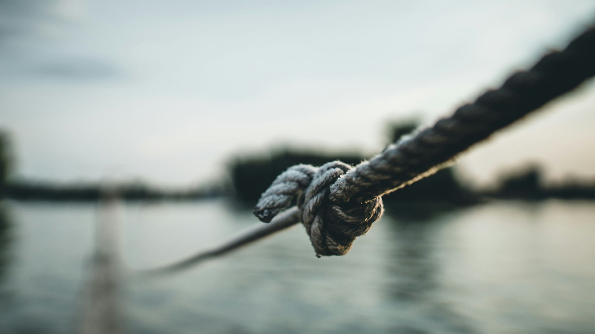 14. "Barkin' at a Knot" (Aboiement à un nœud)