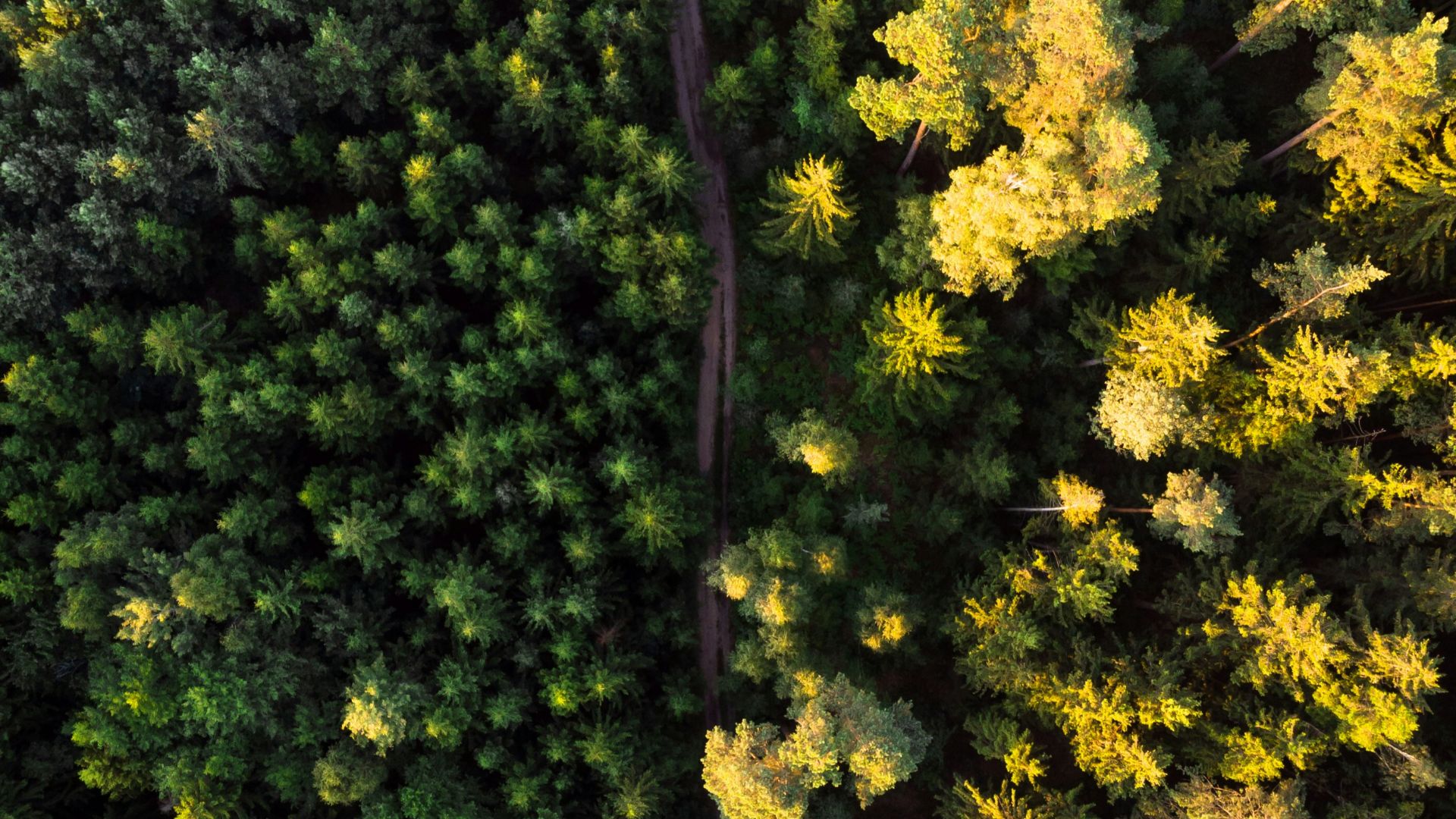 14. La nature mérite d'être défendue
