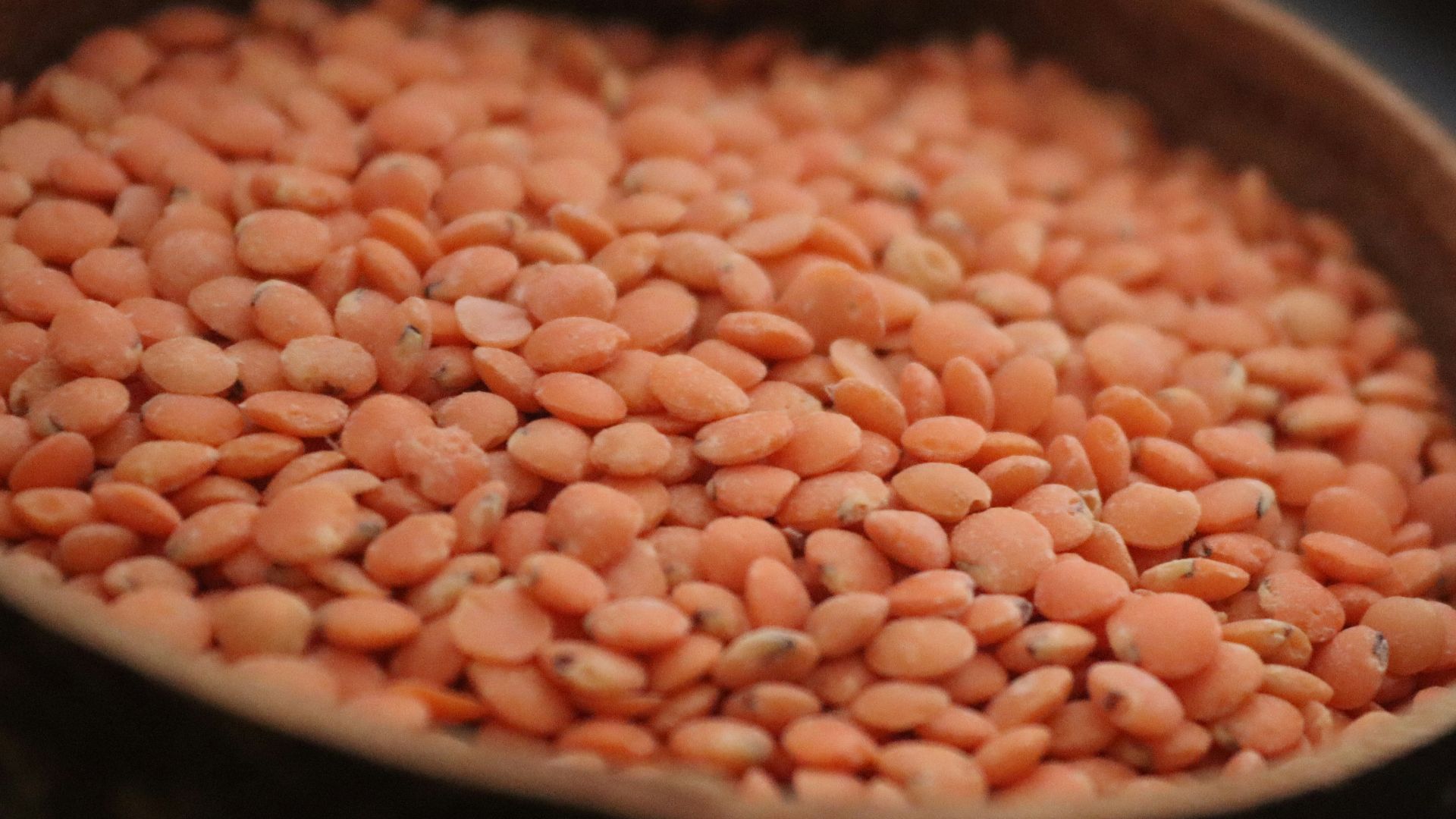 2. Haricots en conserve