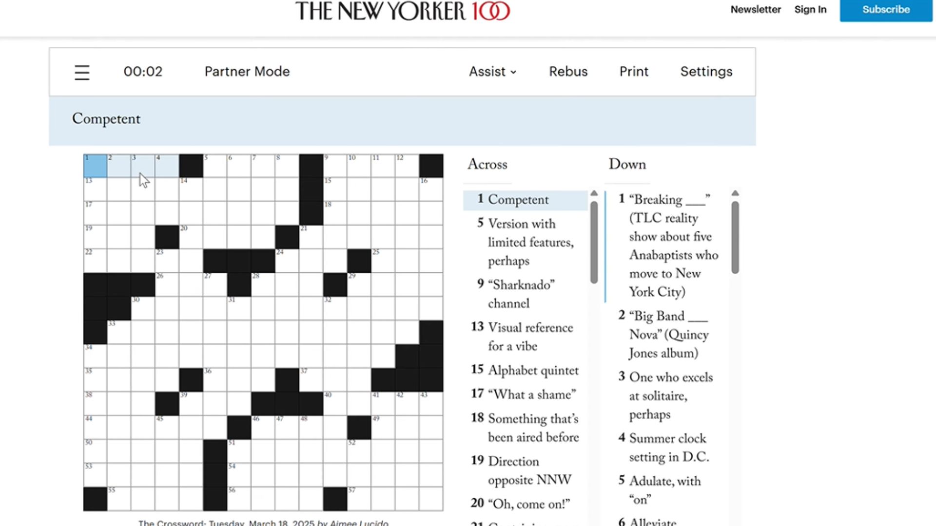 17. Netflix x The New Yorker Cross Words: Netflix