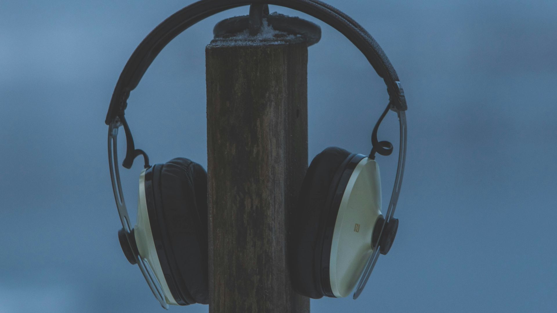 6. Sennheiser HD 800 S