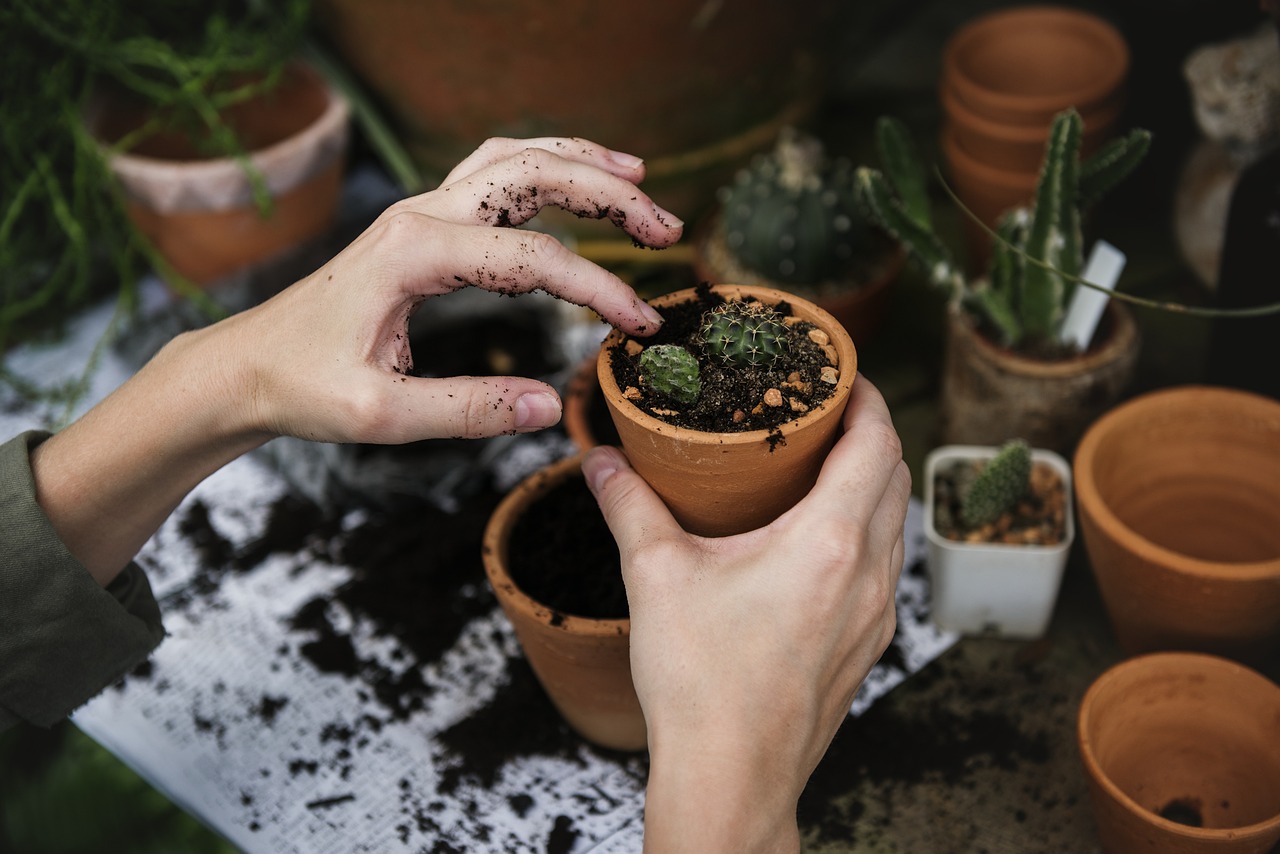 5. Plant Parenting Bringing Comfort During Uncertainty