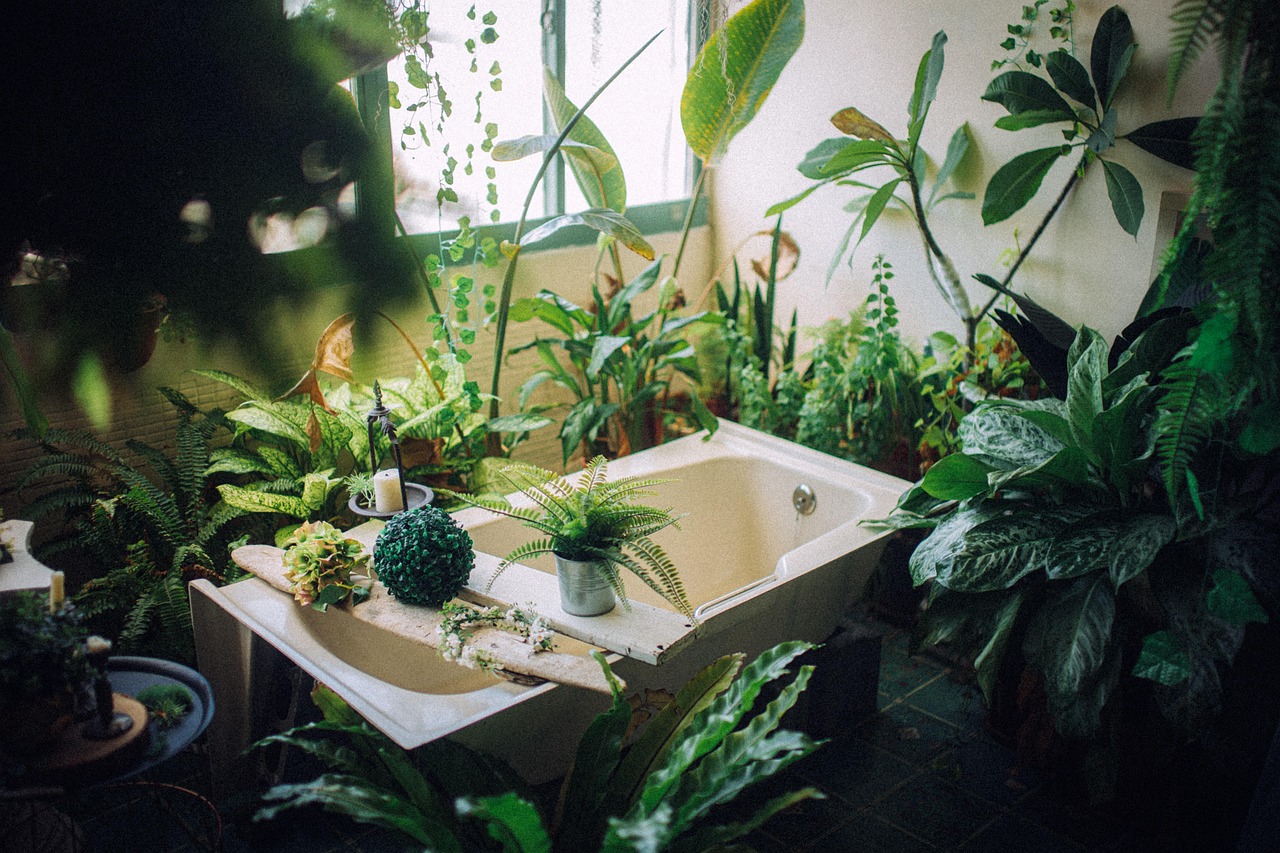 5. Indoor plants enhancing air quality and relaxation