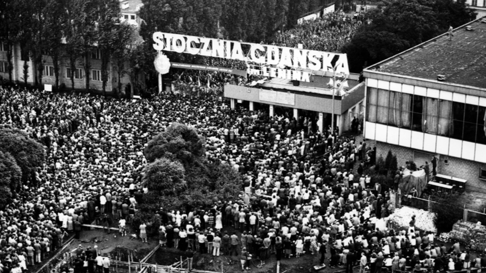 13. Mouvement de solidarité