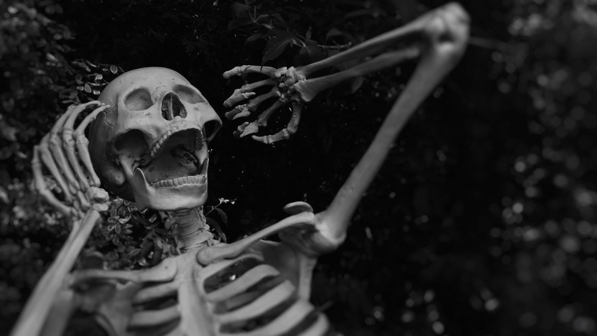 11. Lich
