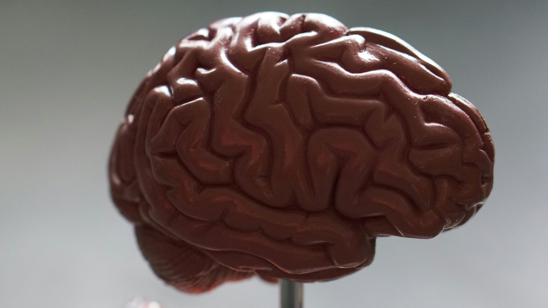12. Dévoreur d'intellect