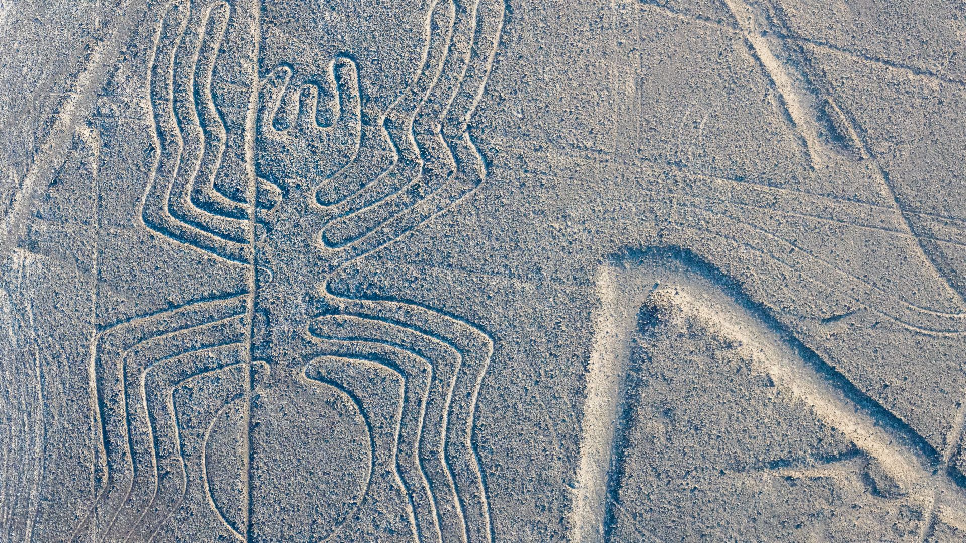 8. Les lignes de Nazca