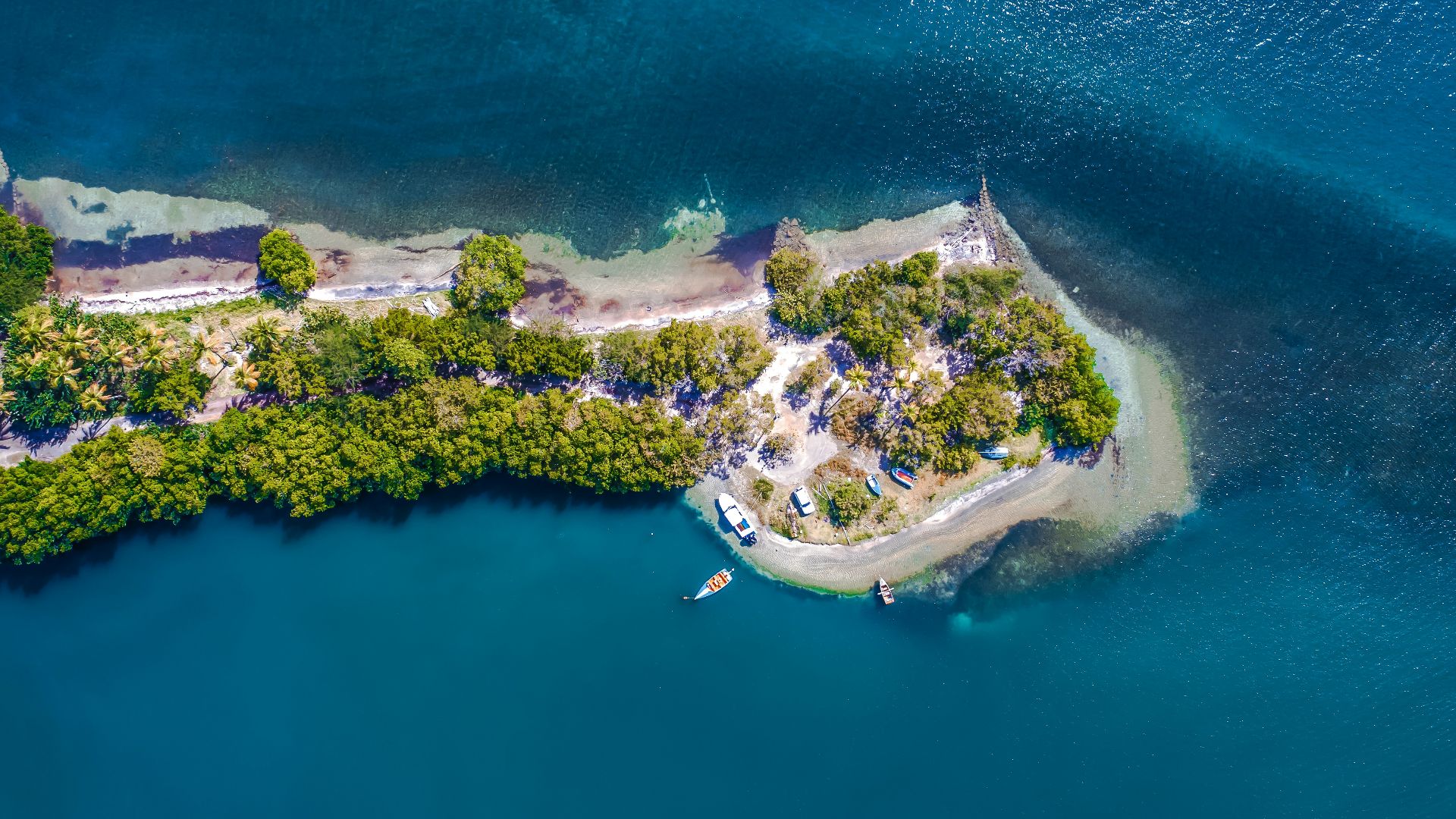 14. Trésor de l'île d'Oak Island