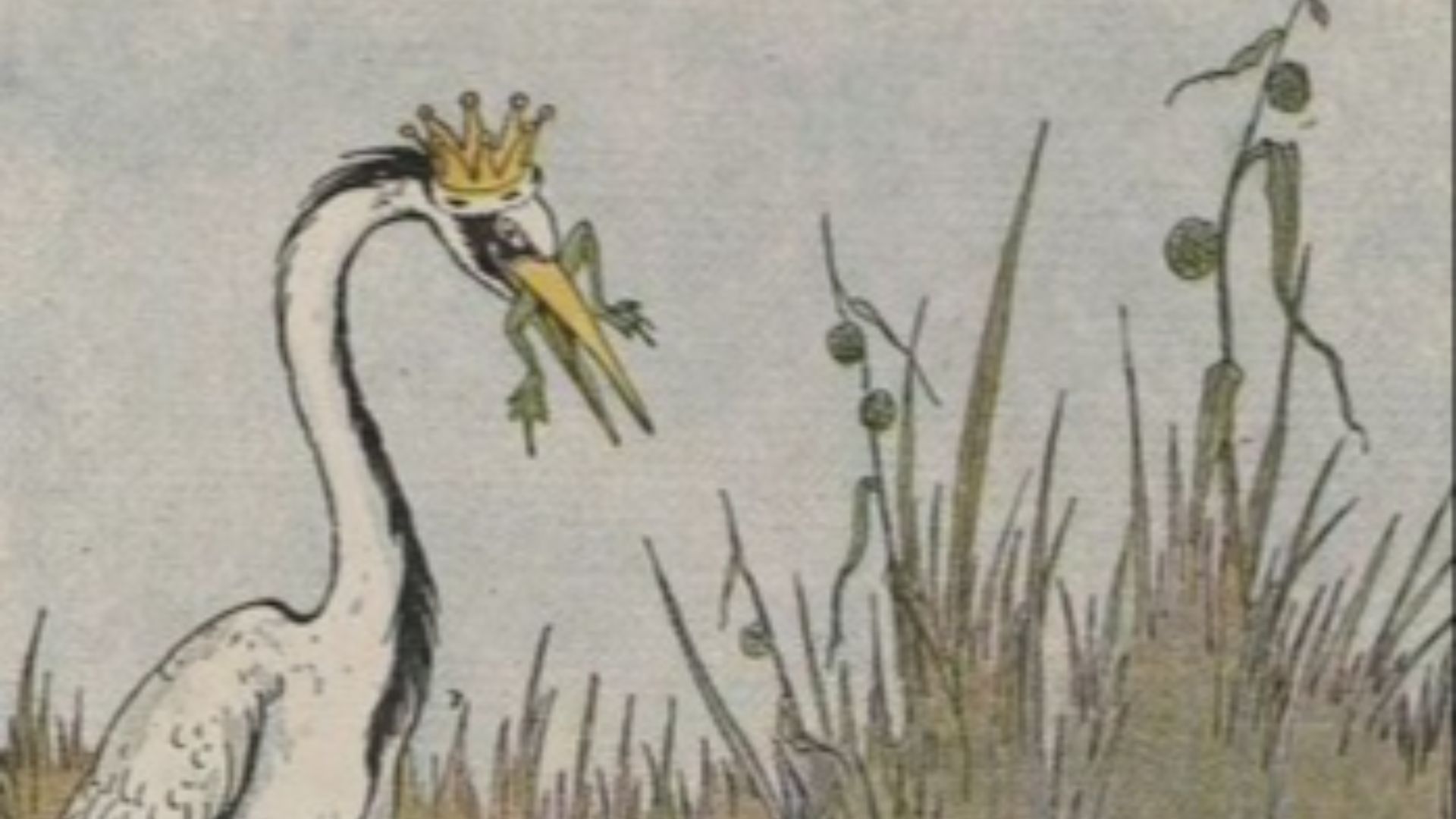13. "Le roi des grenouilles