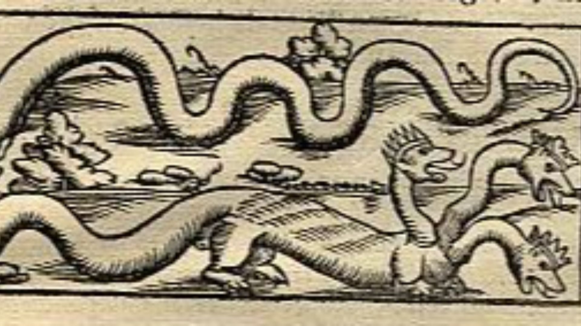 17. "Les trois feuilles de serpent