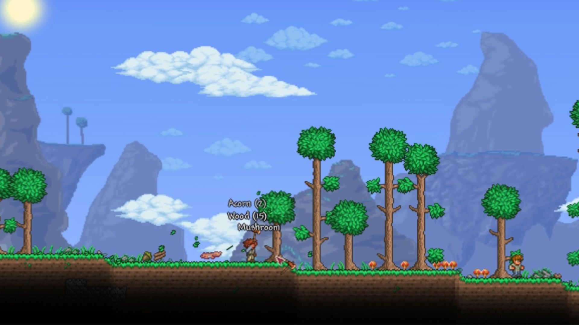 18. Terraria