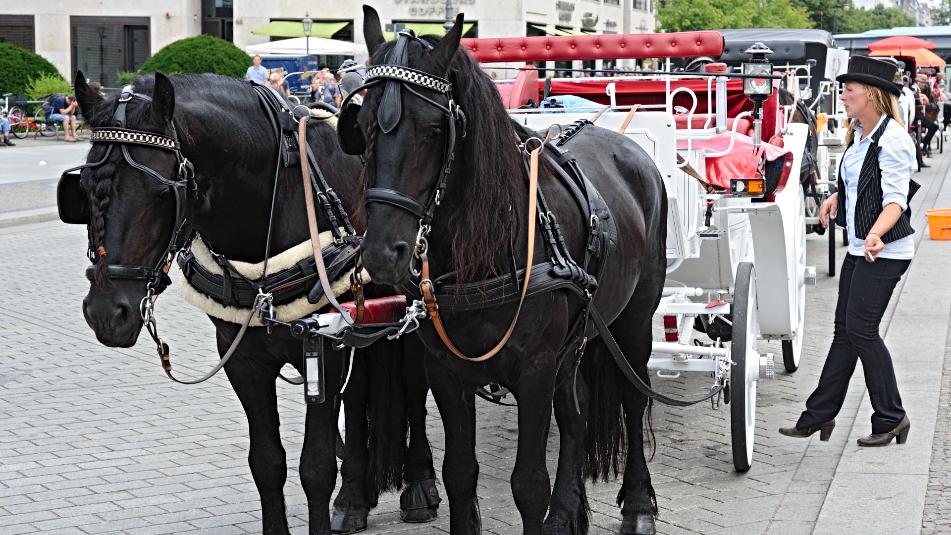3. Les chevaux régneront toujours sur les routes