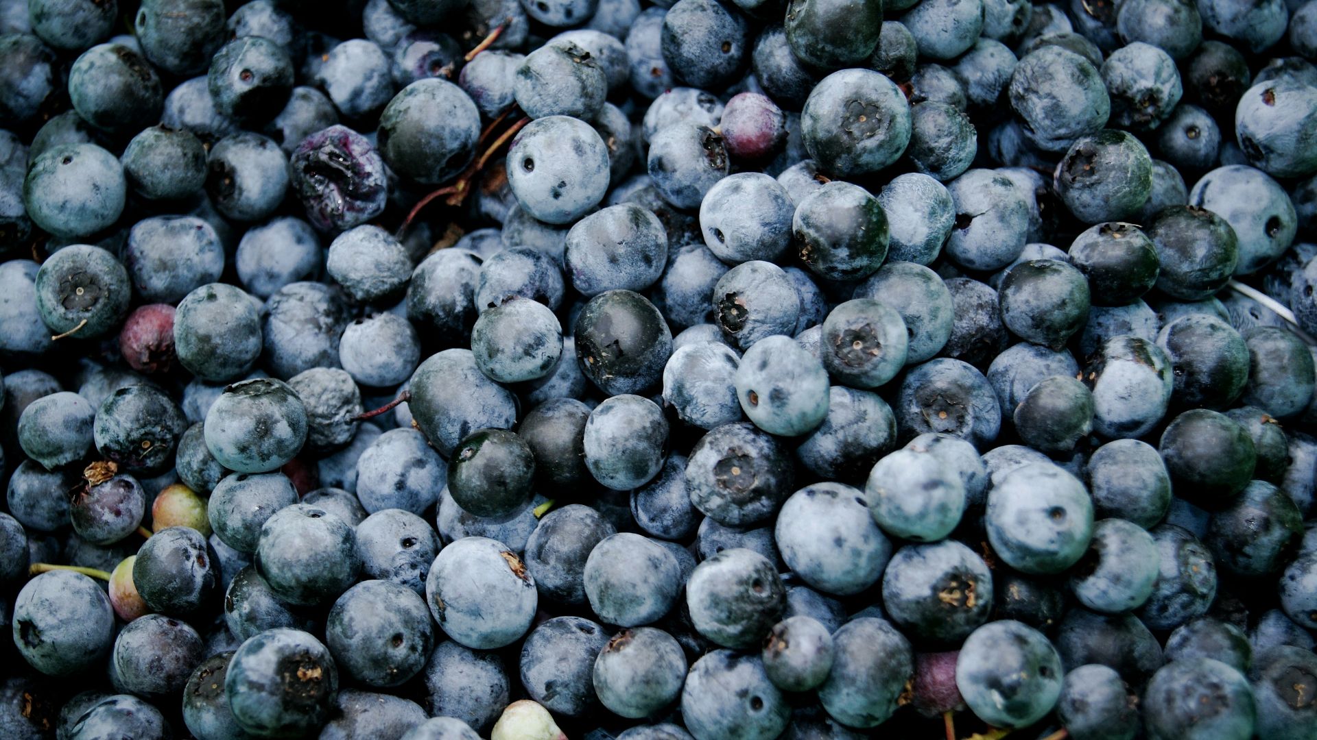 6. Myrtilles surgelées