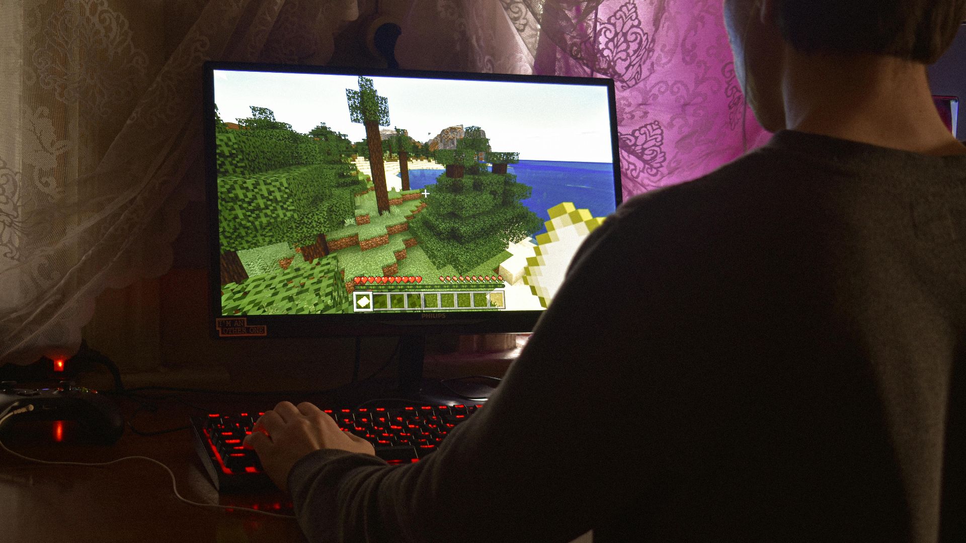 11. Minecraft