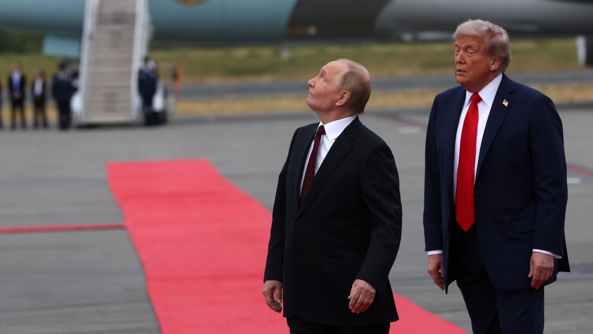 The red carpet
