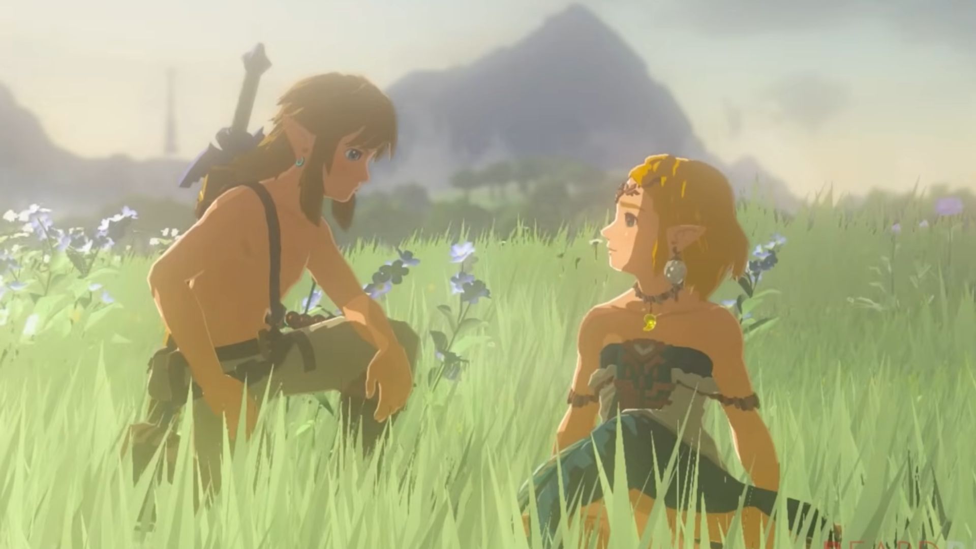 9. Link et Zelda dans Tears Of The Kingdom