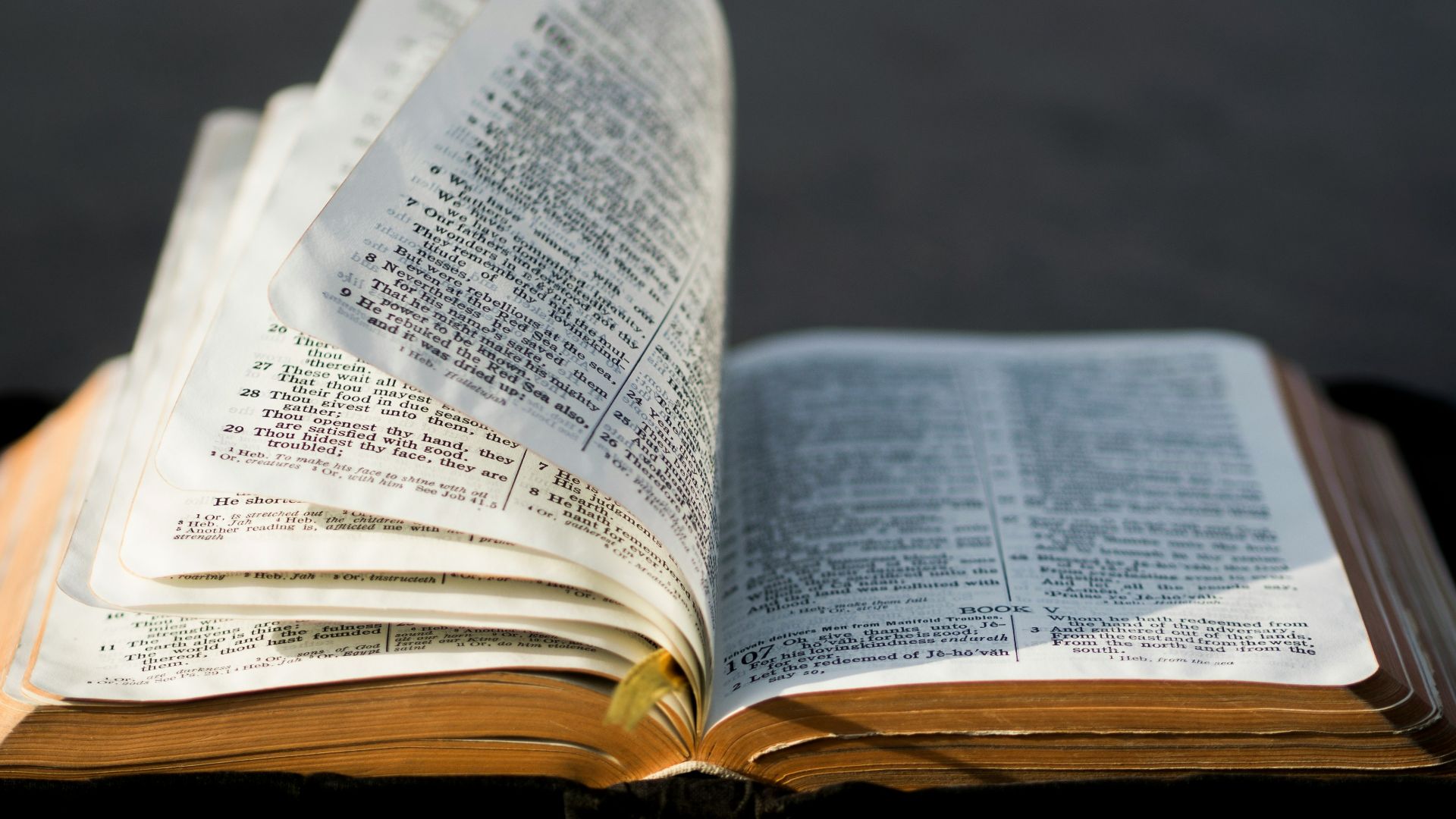 8. Un verset, c'est deux mots