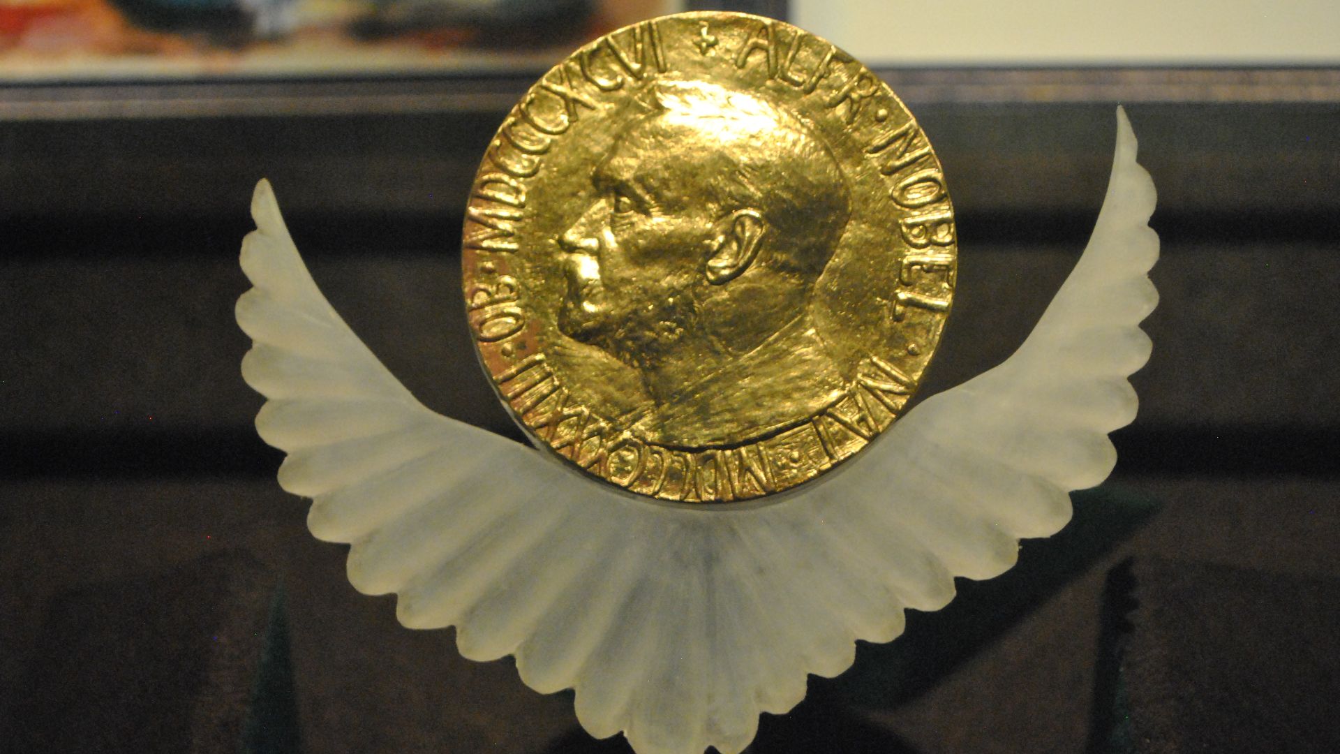 13. Nominée pour le prix Nobel de la paix - mais jamais gagnante