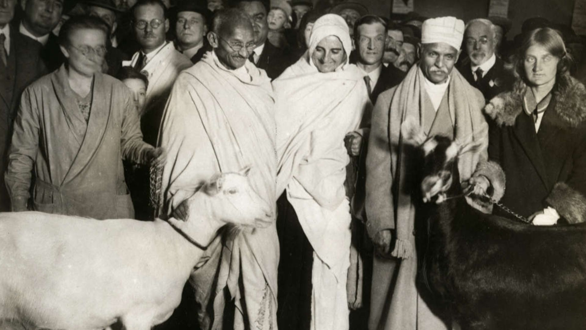 16. Gandhi voyageait avec sa chèvre