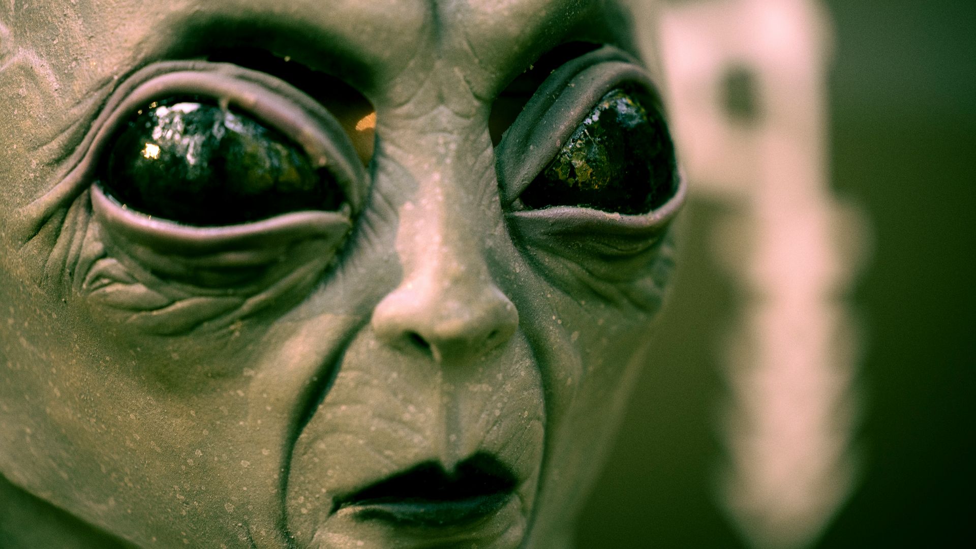 19. Un cadeau de deux extraterrestres