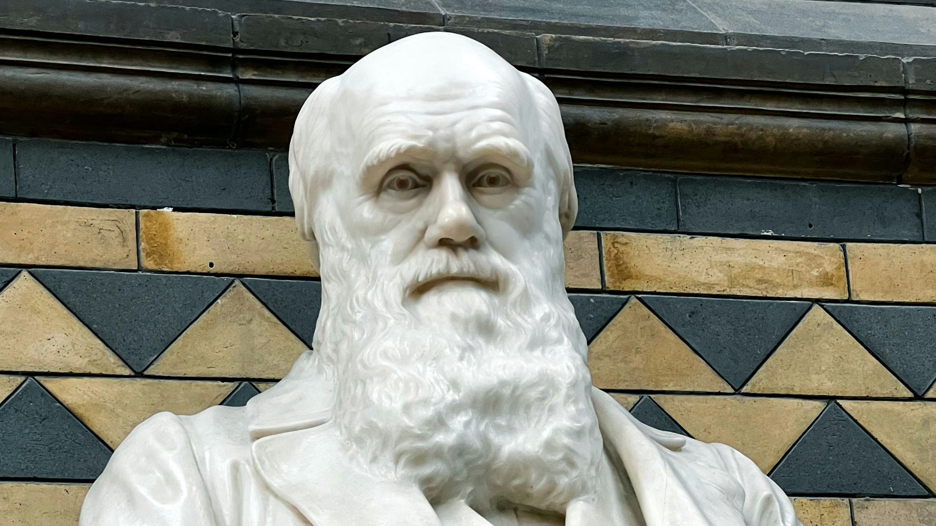 9. Darwin et sa tortue
