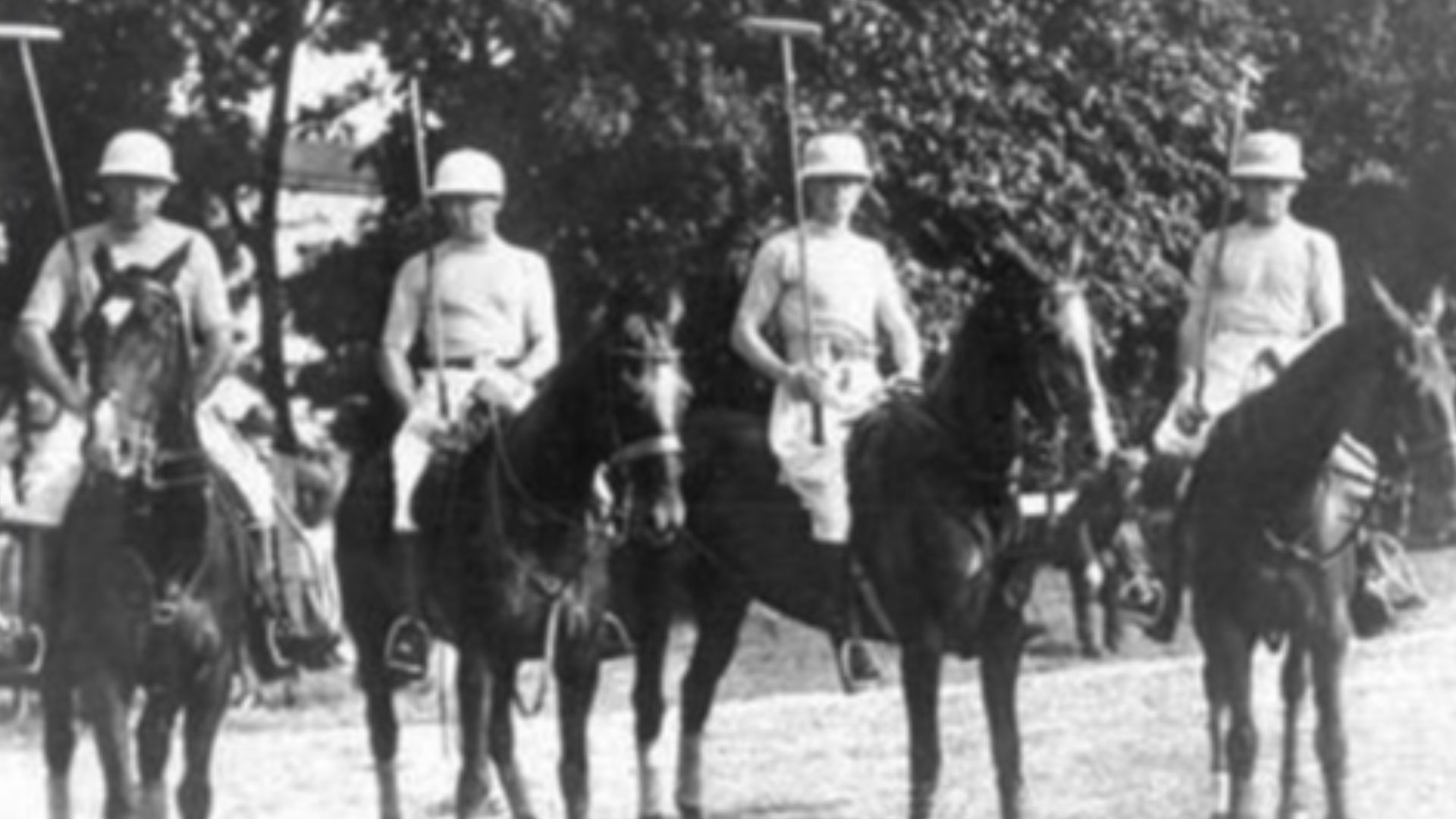 8. Polo