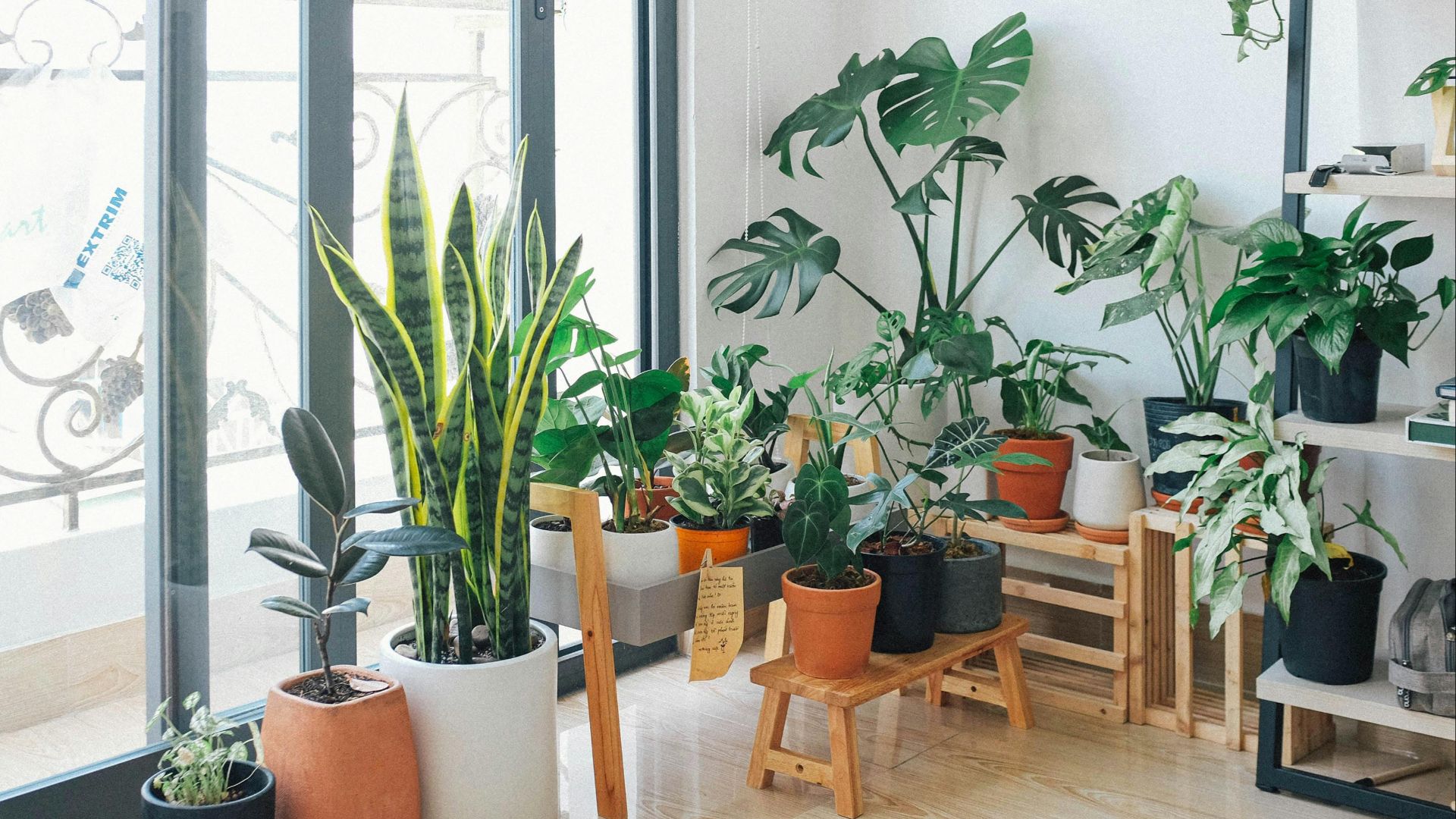 3. Les plantes prospèrent autour de vous