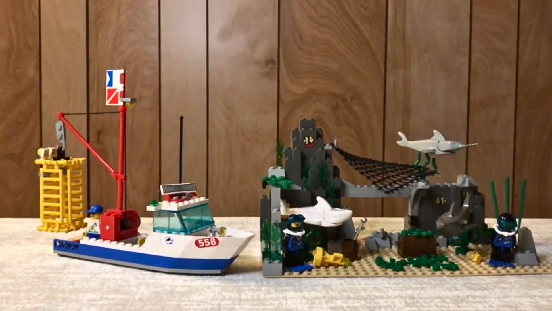 13. Plongeurs Shark Cage Cove (6555)