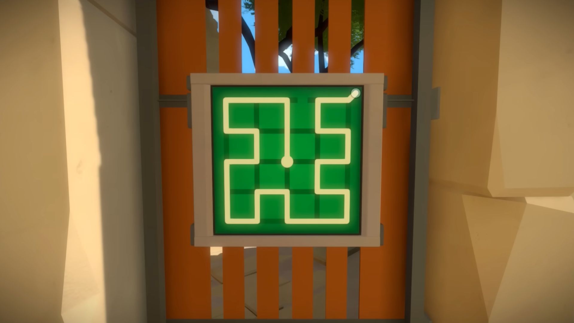 17. The Witness