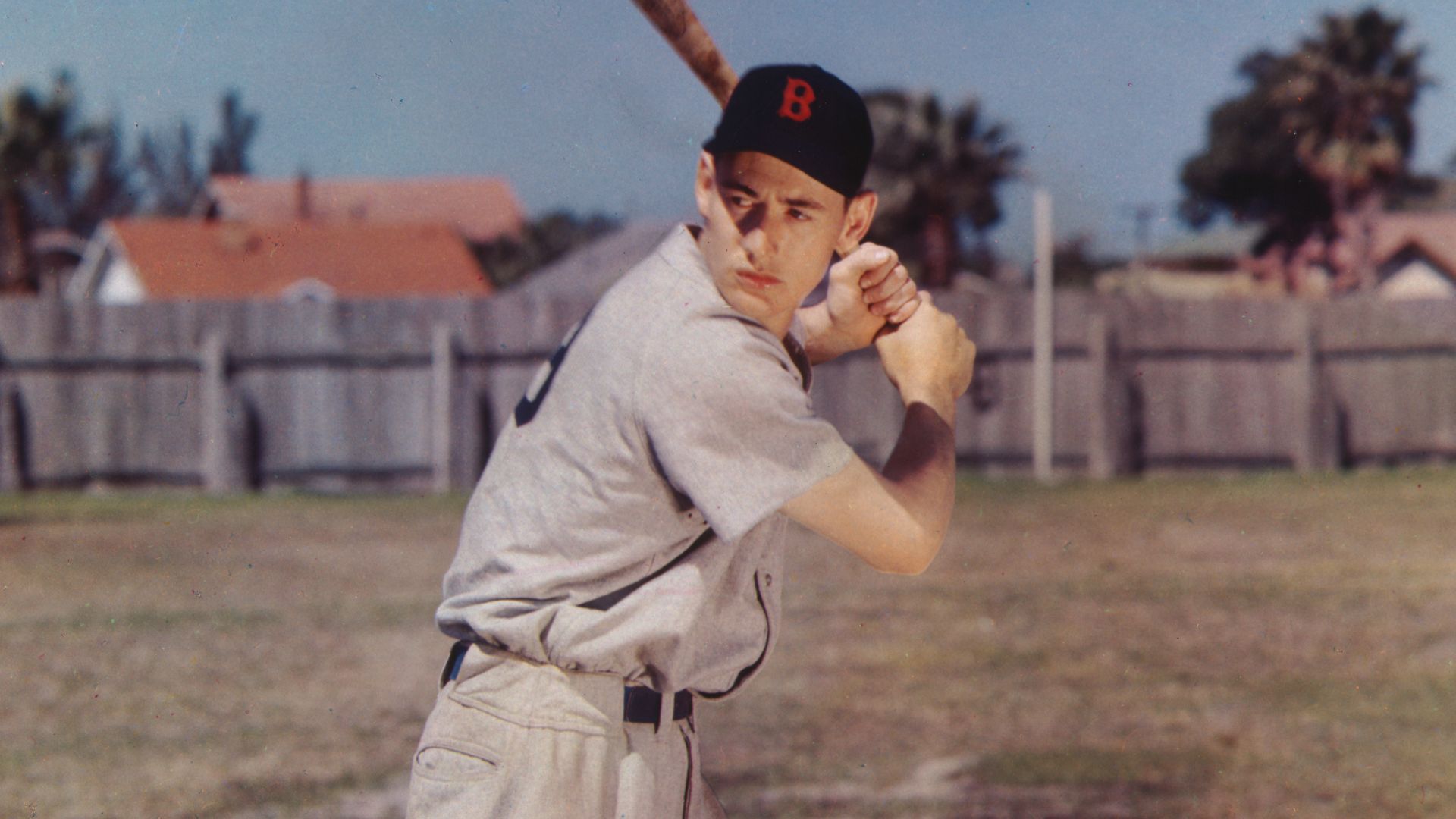 7. Ted Williams