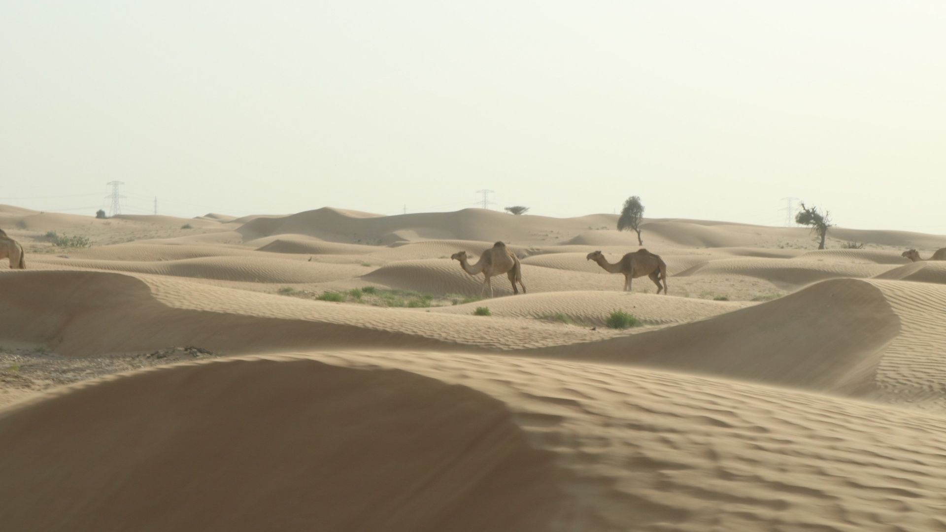 10. Les villes perdues du désert de Dubaï