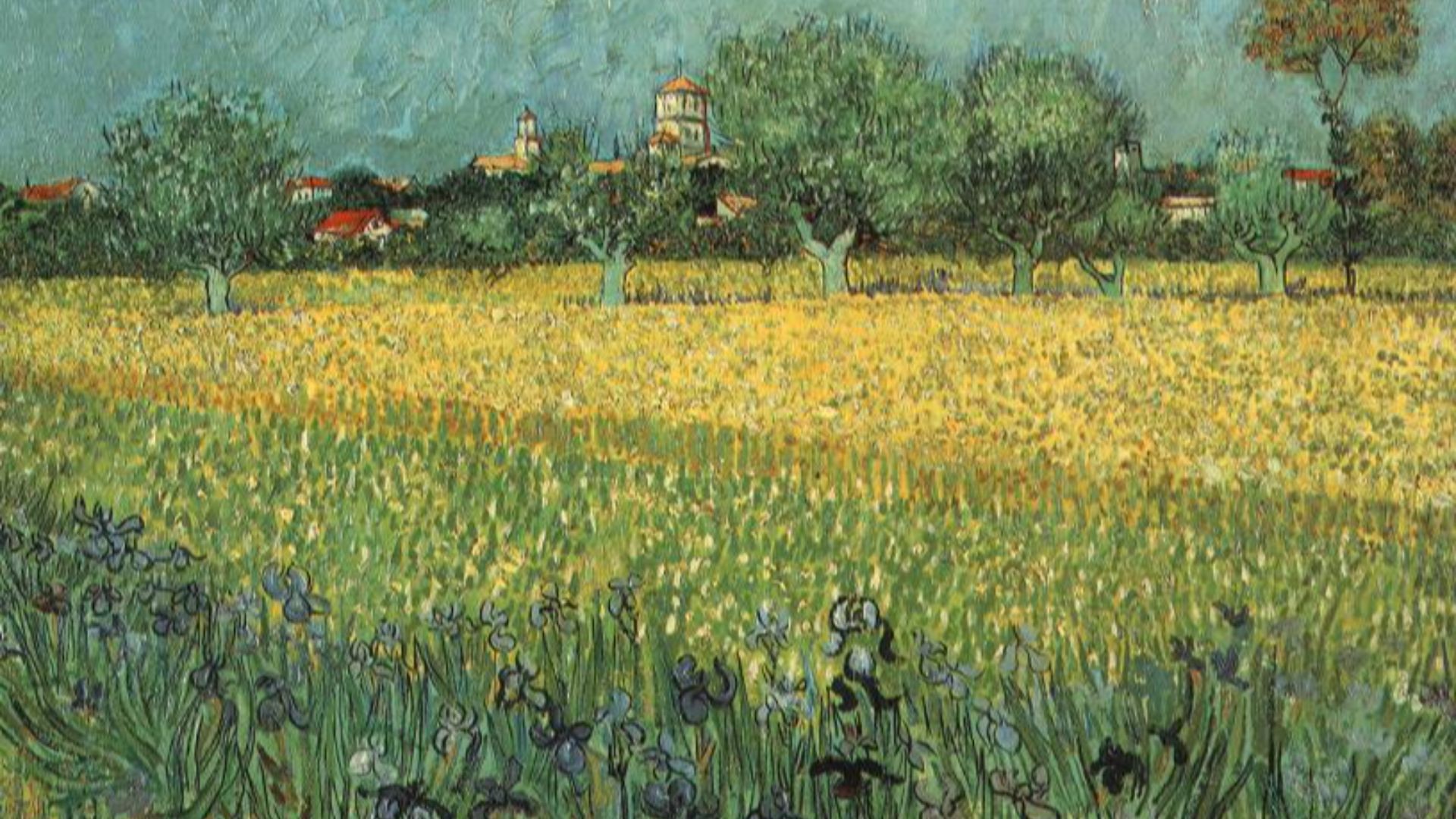 6. Vue d'Arles avec des iris (1888)