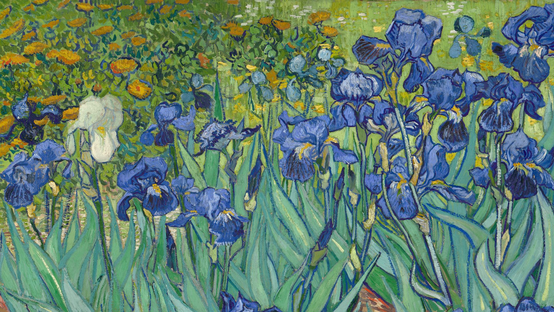 3. Iris (1889)