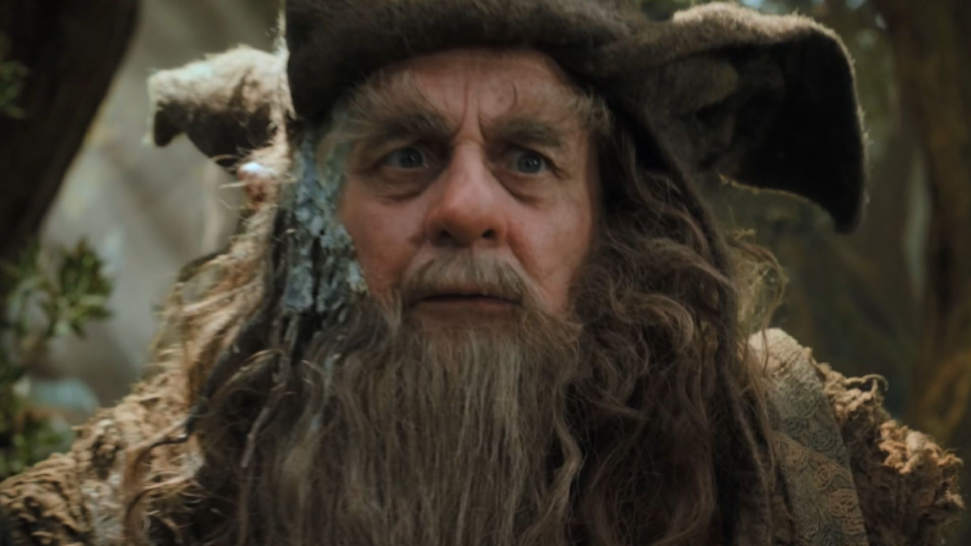 7. Radagast Le Brun
