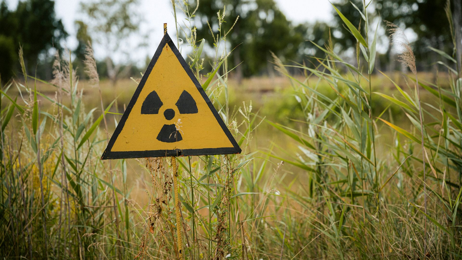 7. Radioactivité