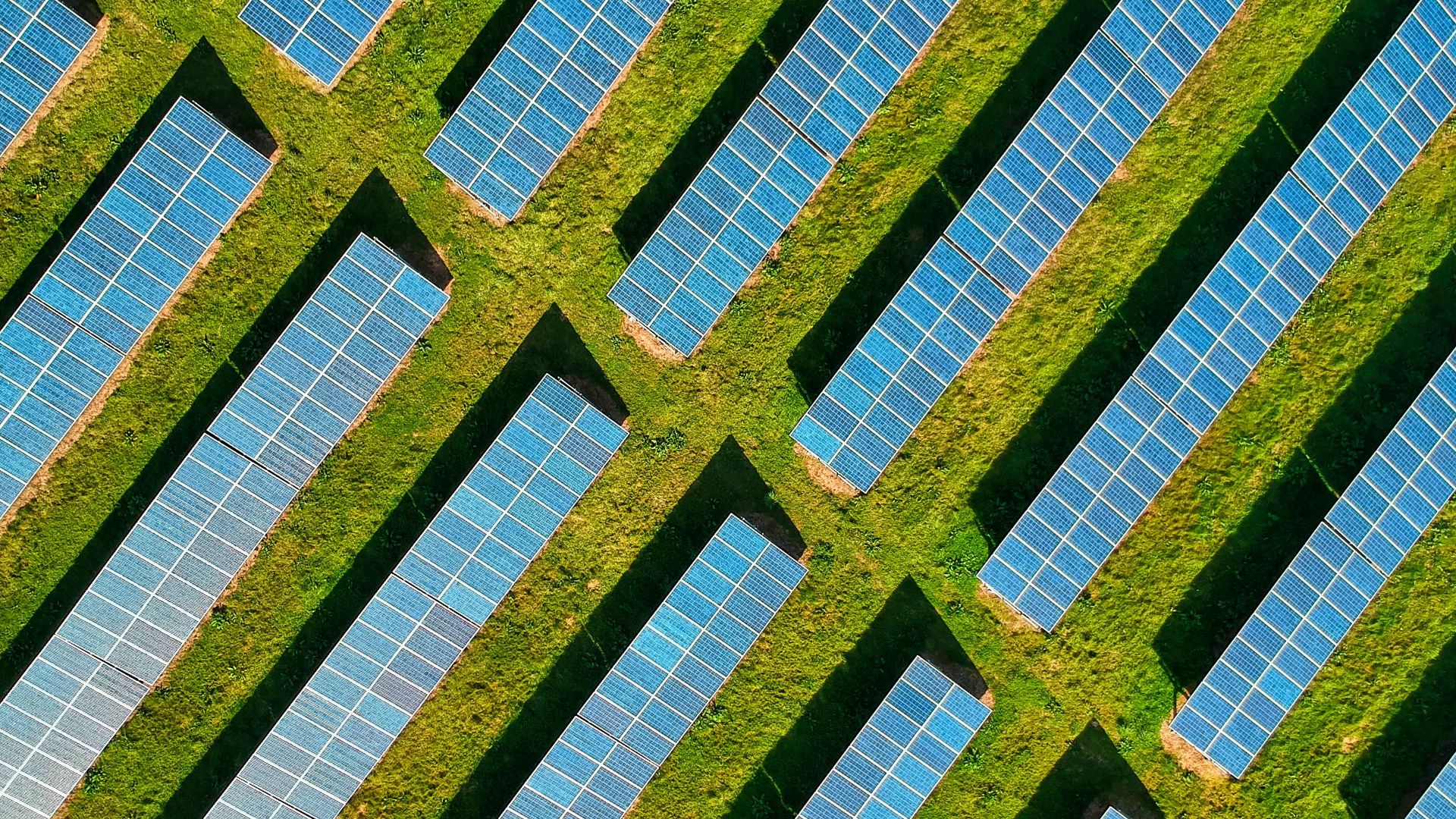 19. Technologue du développement durable