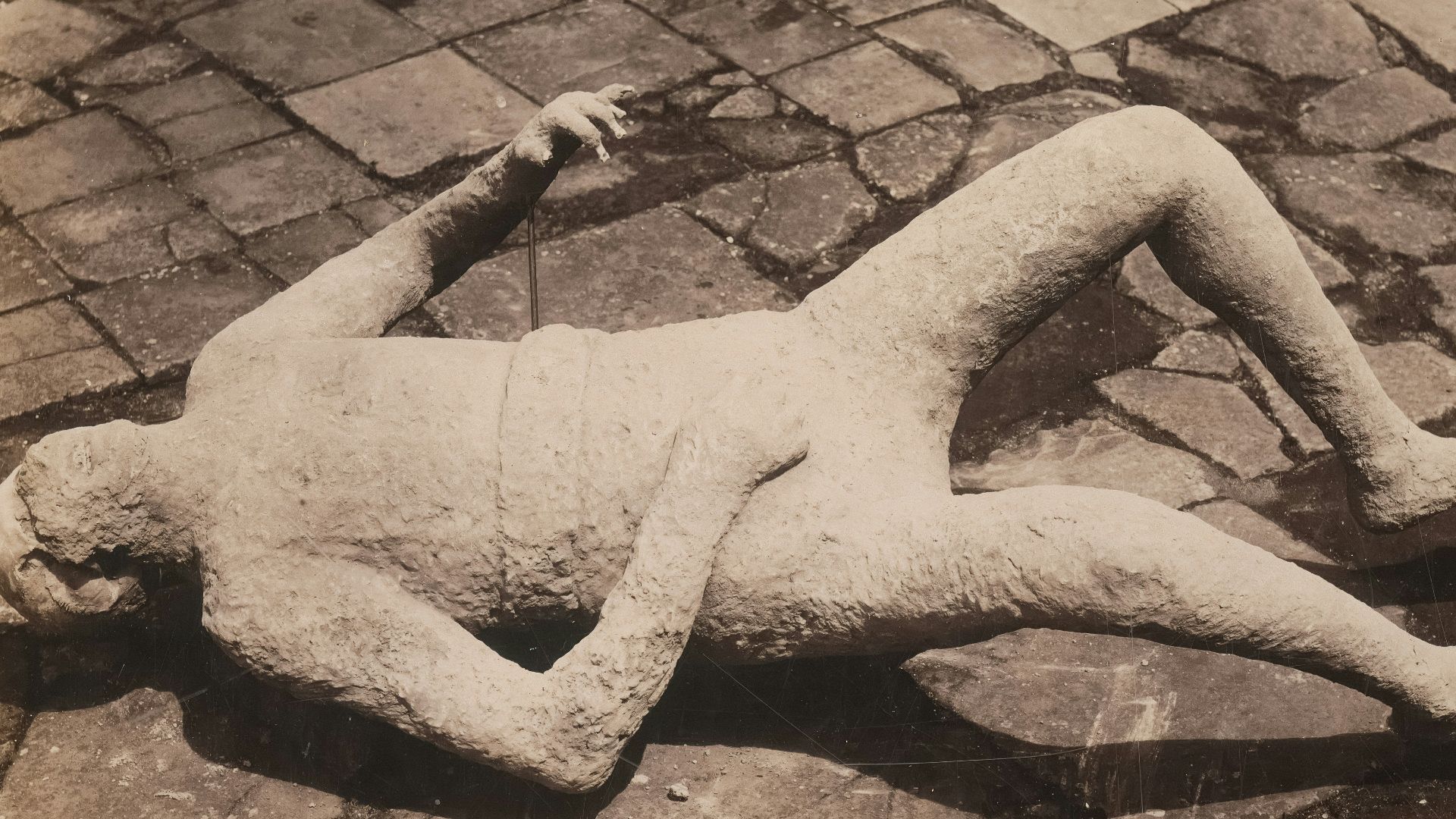 4. Les moulages en plâtre proviennent de cavités vides