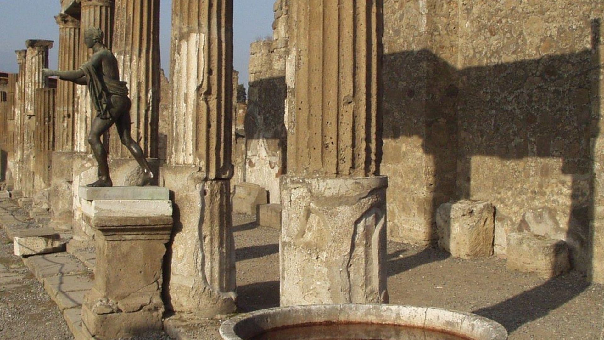 8. Les animaux domestiques ont été préservés