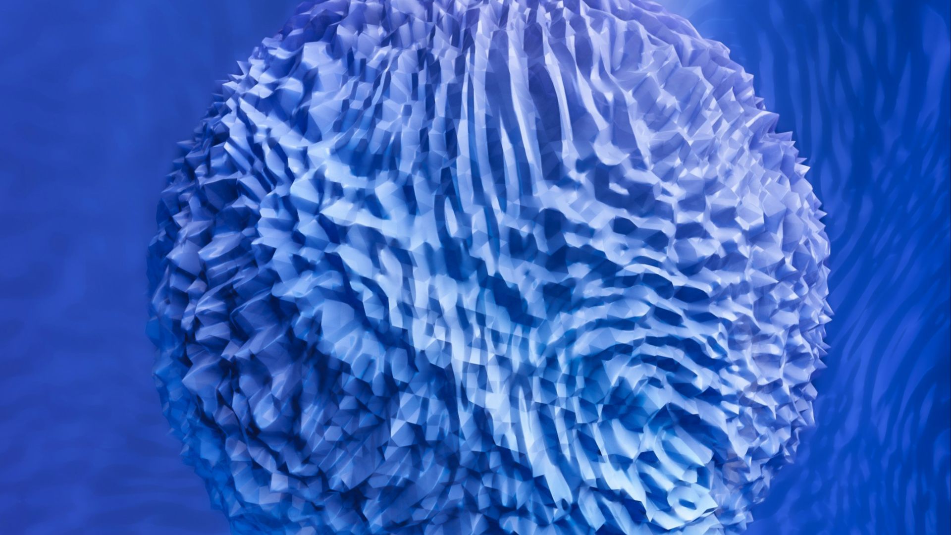 20. Isolement des cellules souches