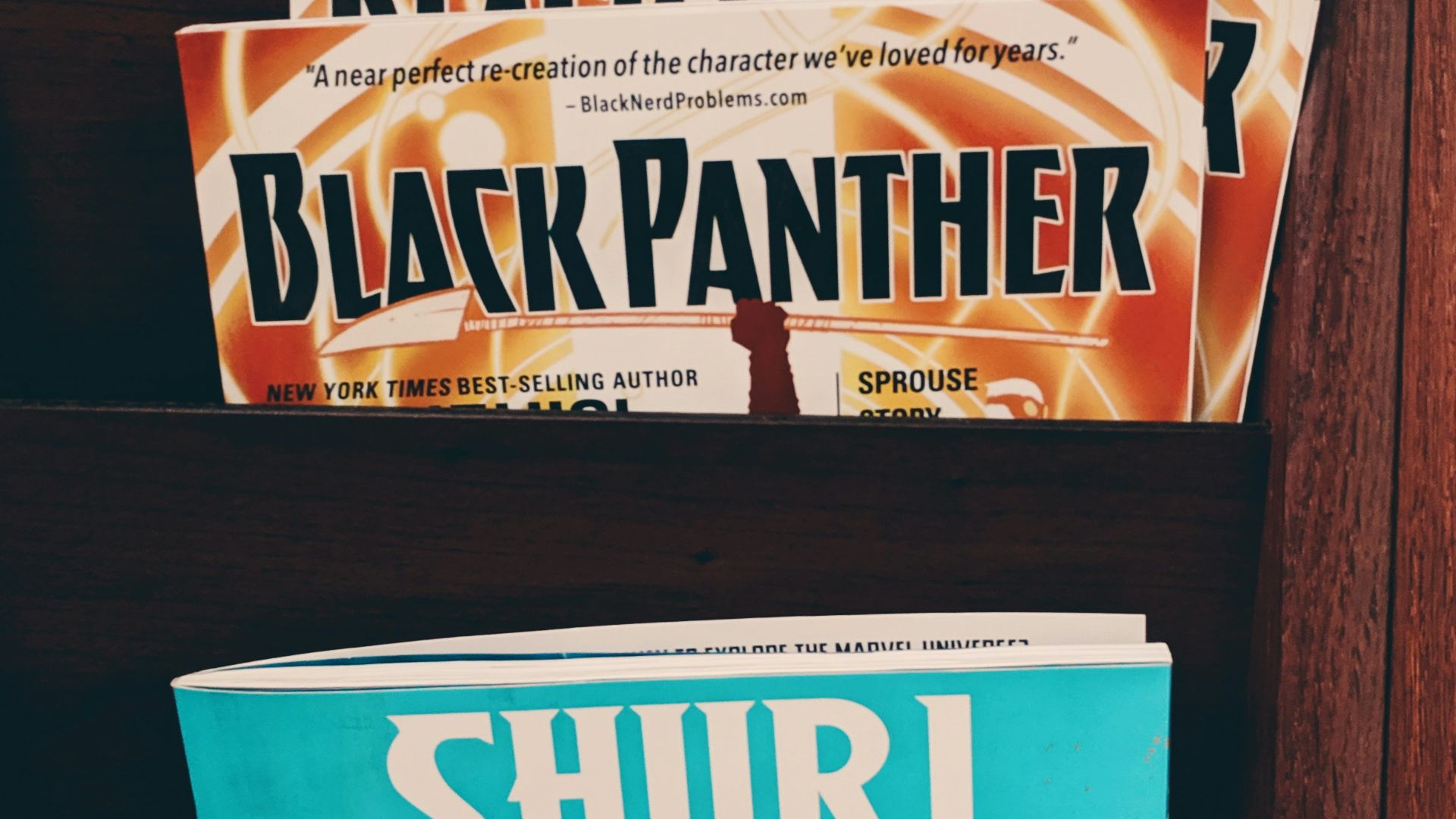 7. Black Panther Wakanda Forever Bijoux