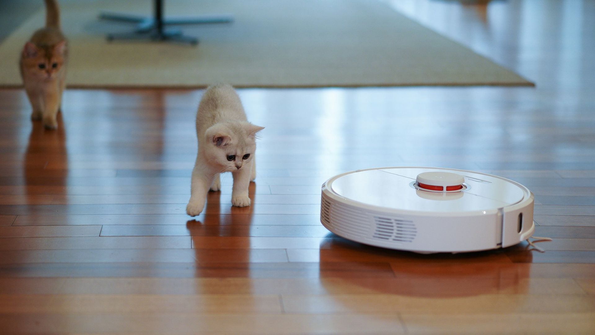5. Robots aspirateurs