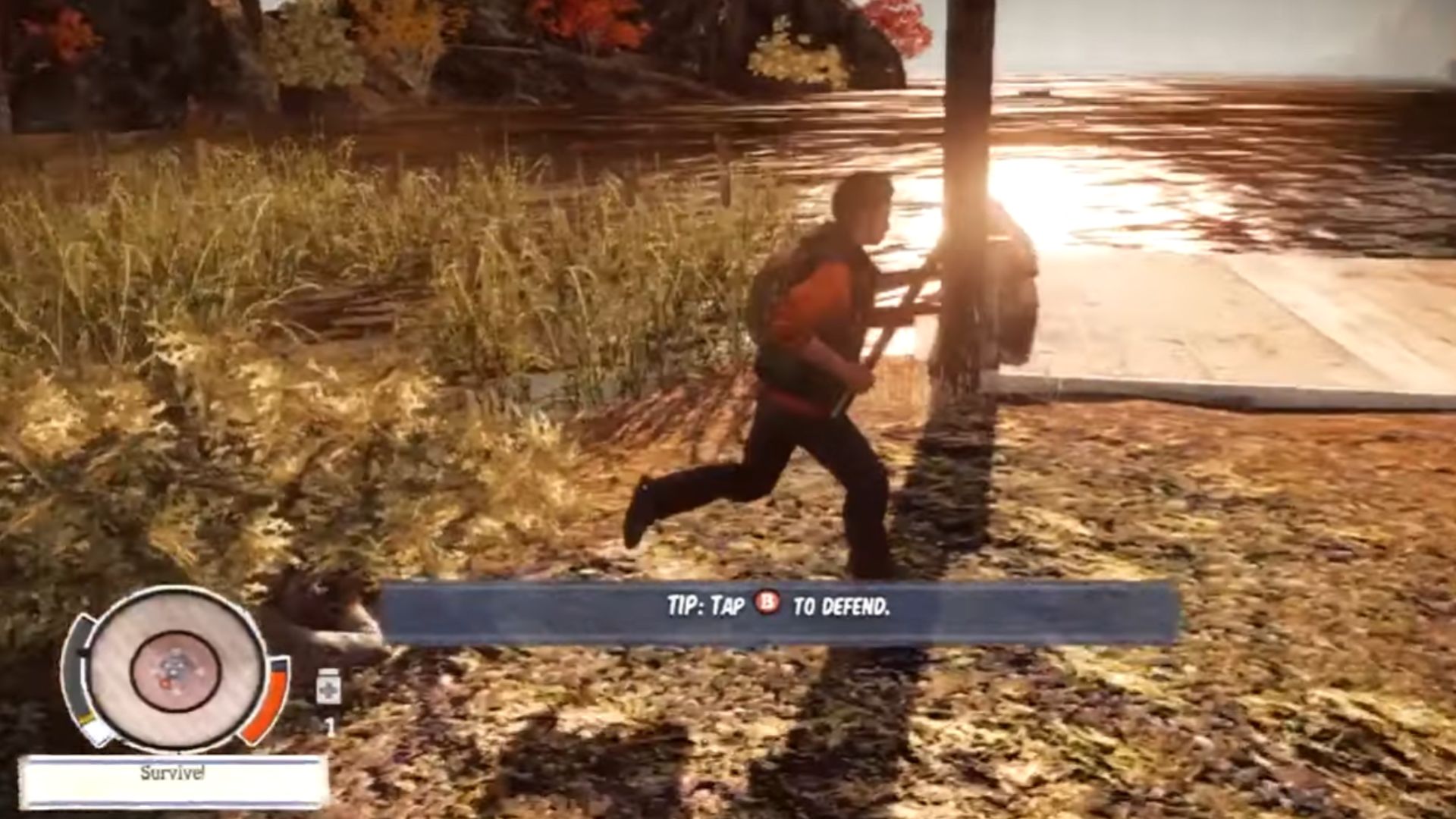 10. State of Decay