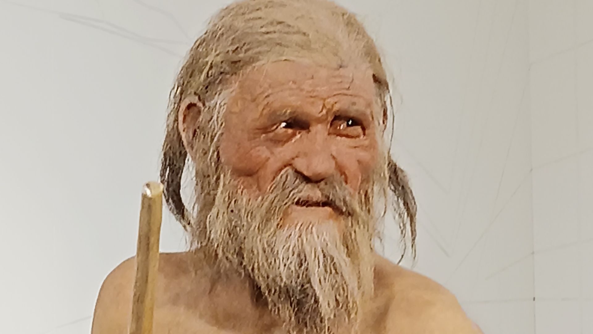 13. Ötzi l'homme des glaces
