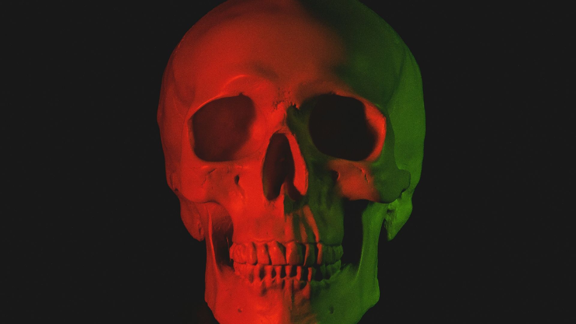 15. Burton Agnes Hall Skull