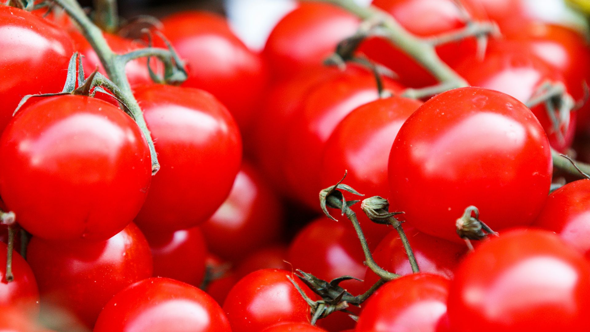 3. Tomates