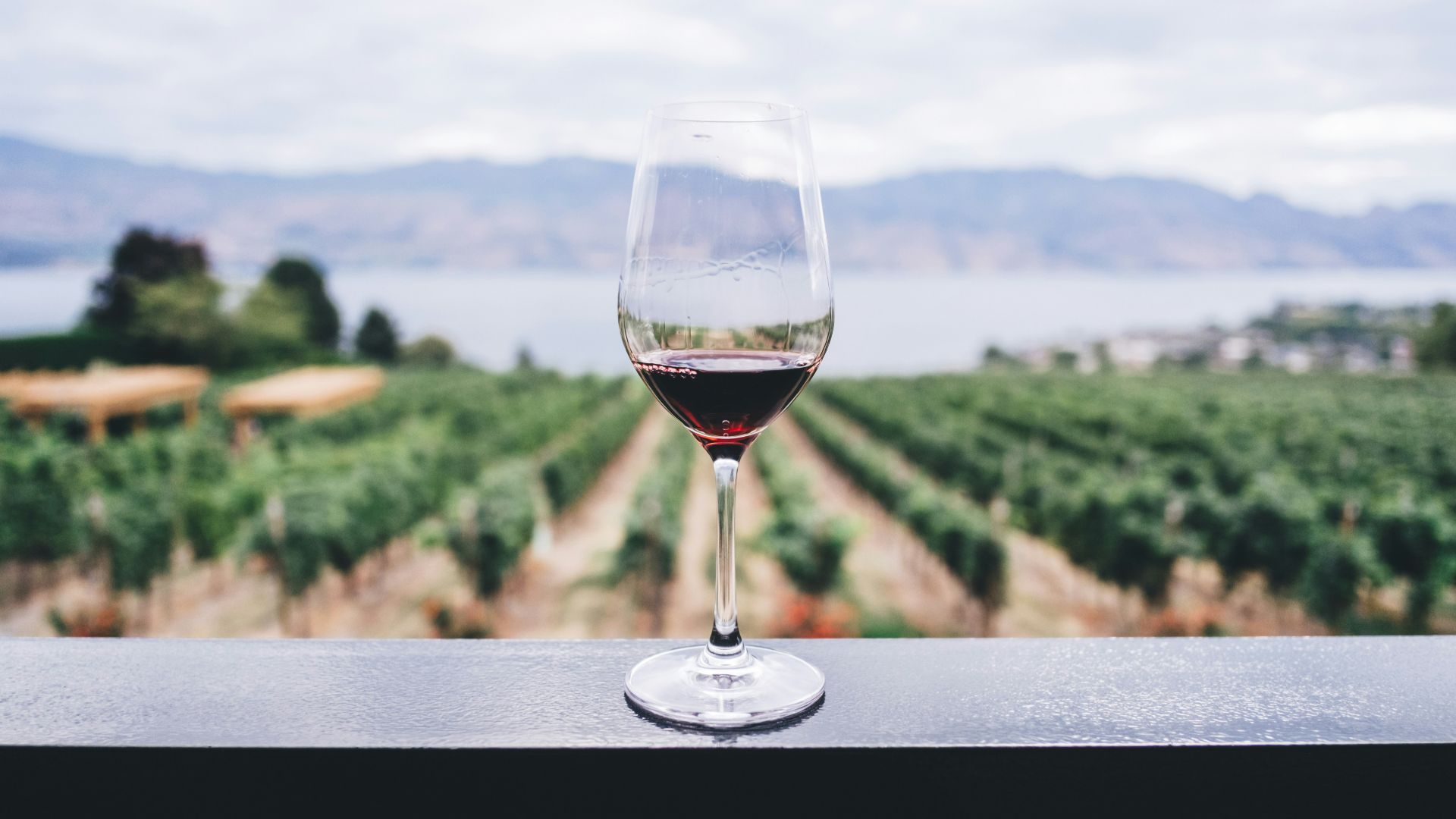 9. Le vin