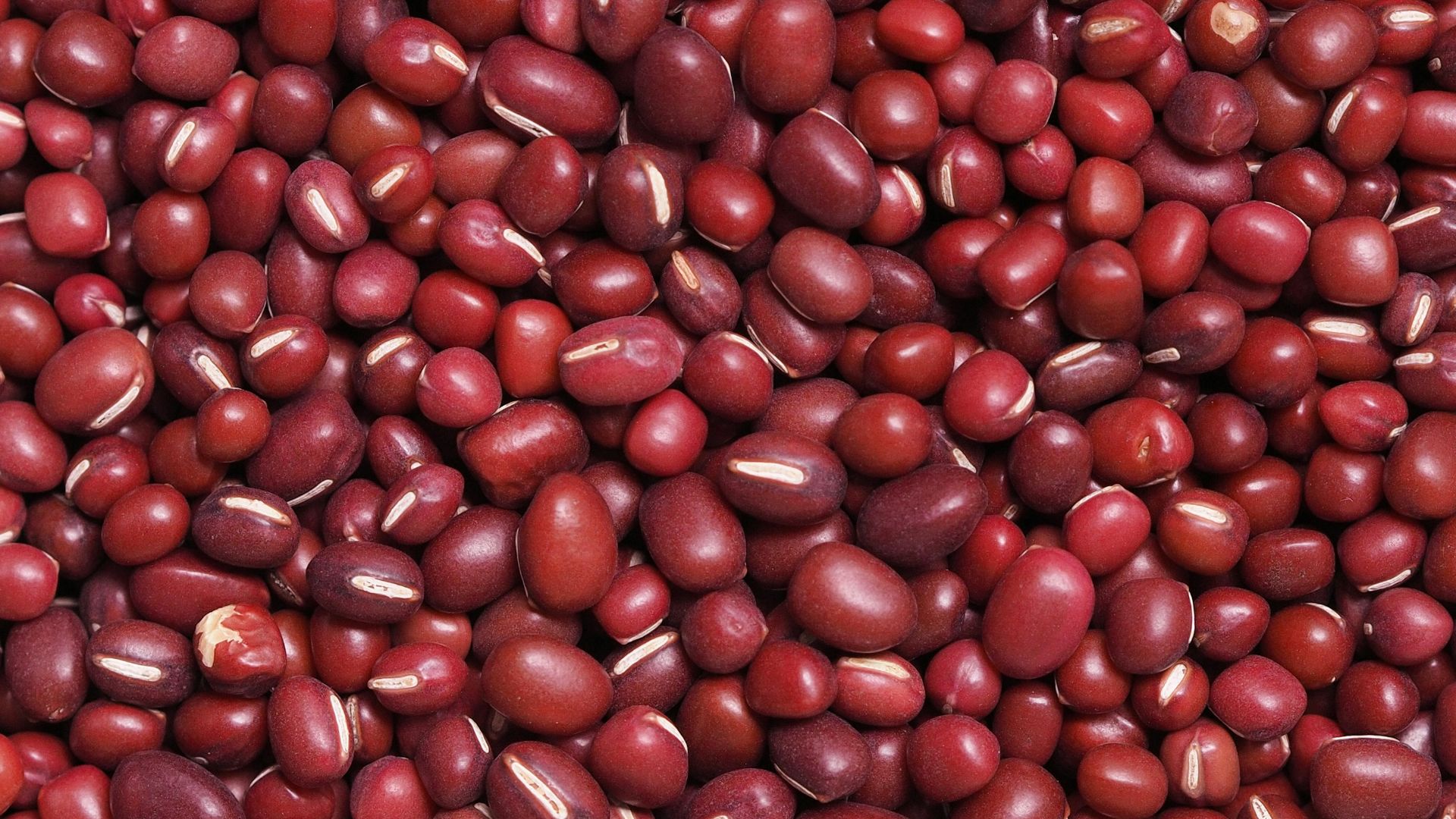 17. Haricots