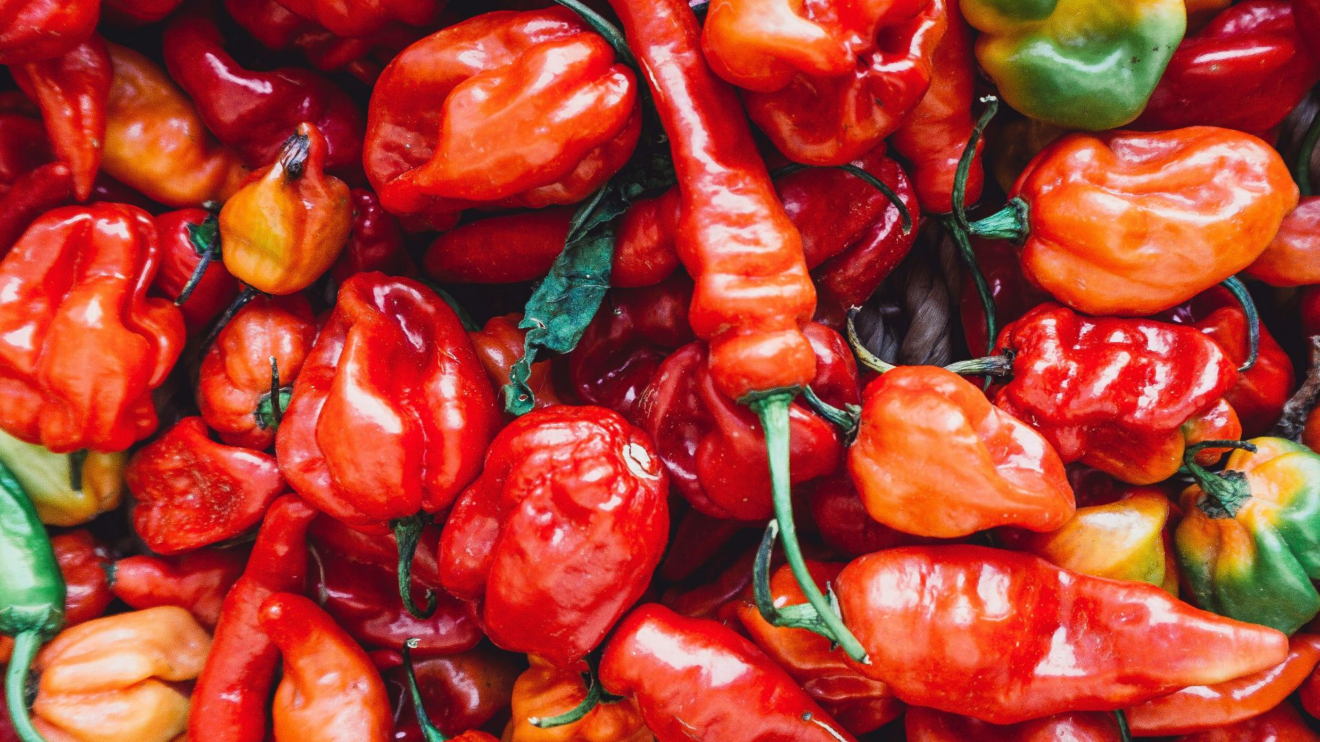 19. Piments