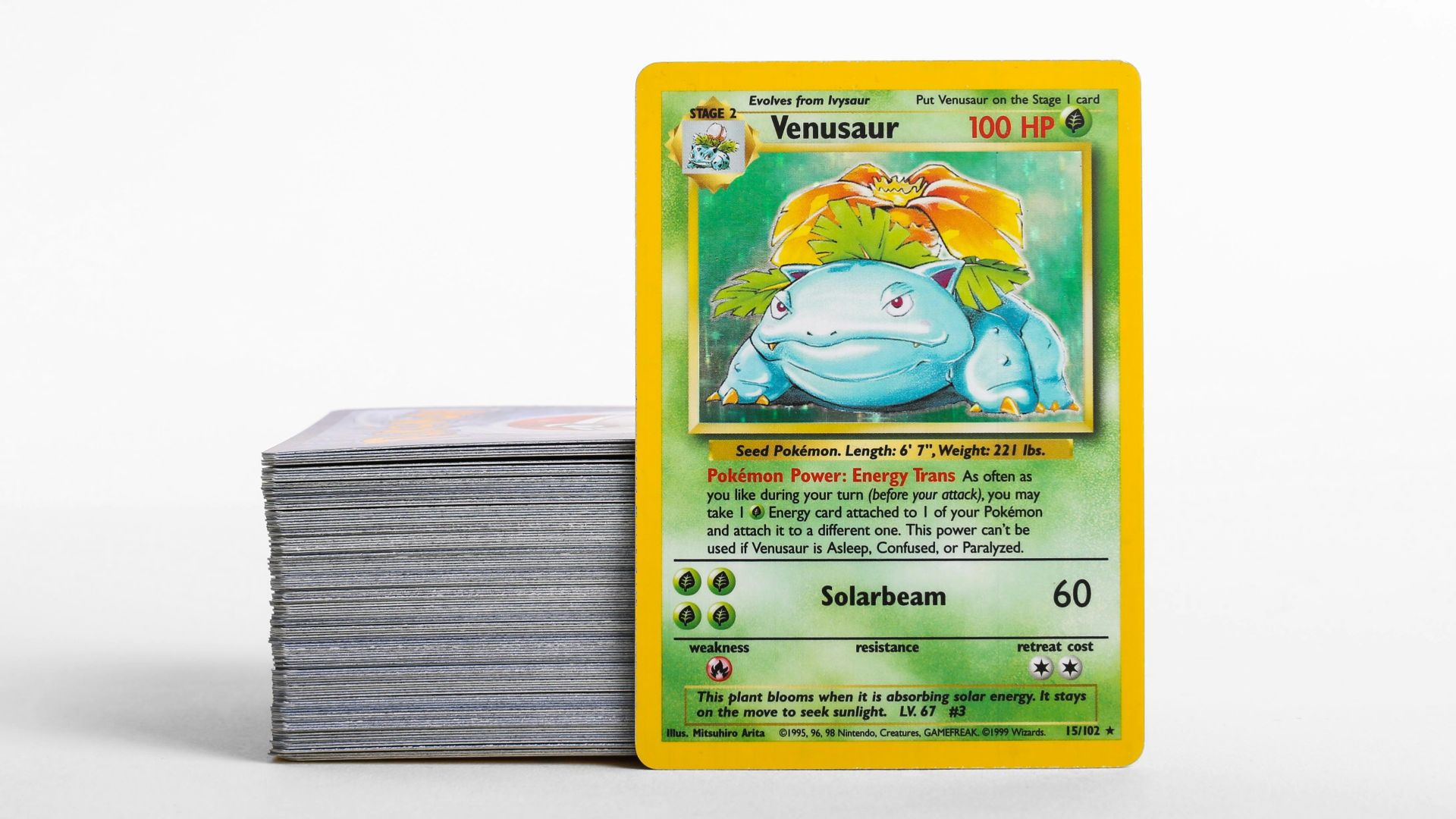 19. 1996 Pokémon Japanese base Set No Rarity Symbol Holo Venusaur