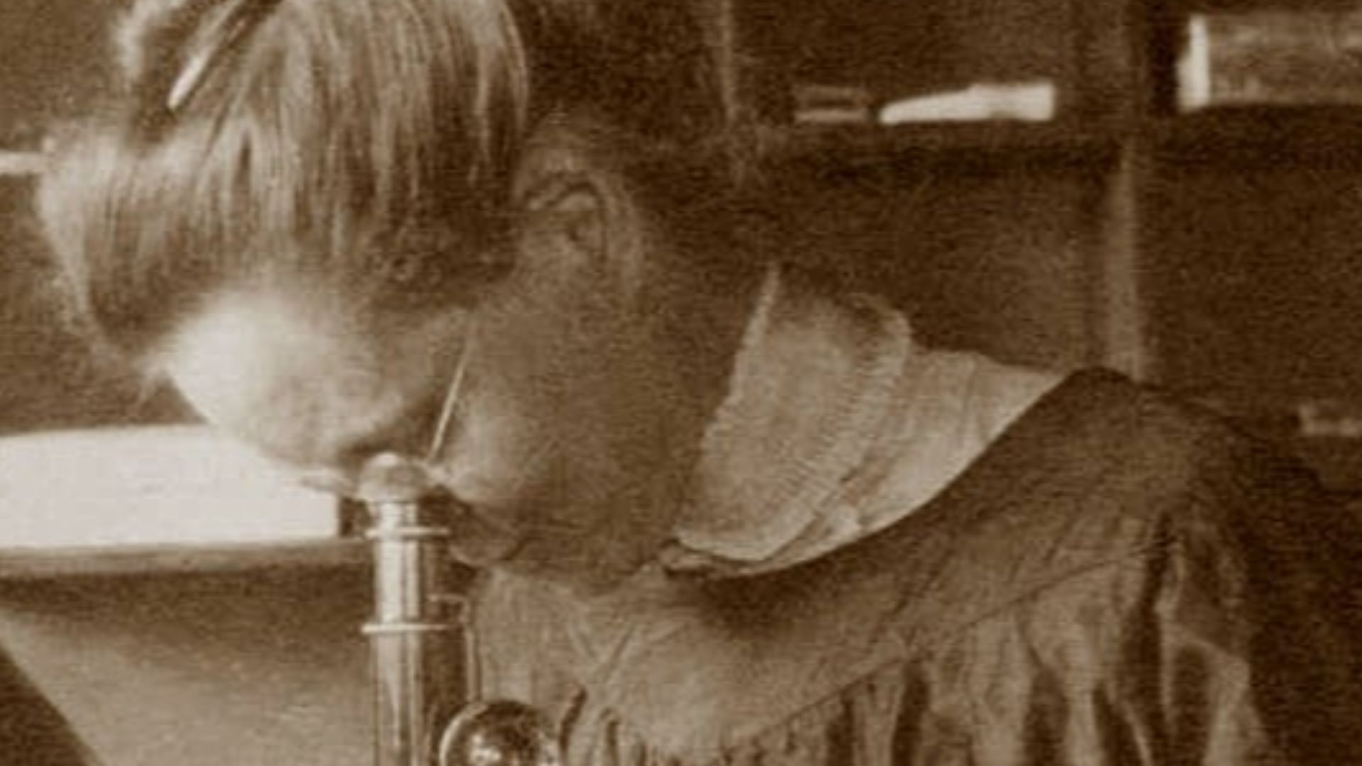 20. Nettie Stevens